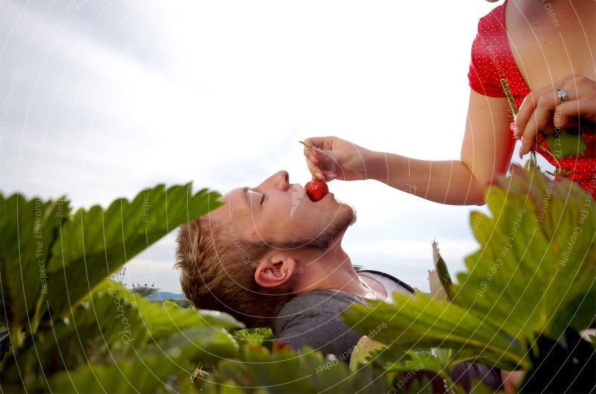 User Experience Design